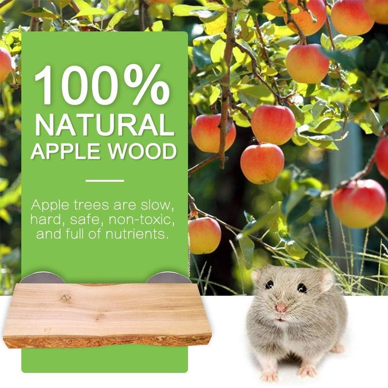 Hamiledyi 2Pcs Hamster Ledges Wooden Platform Rat Climb Platform Shelf Bird Perch Stand Toys Cage Accessories for Rat Squirrel Gerbil Suger Glider 2.6" X 5.9" - Image 3